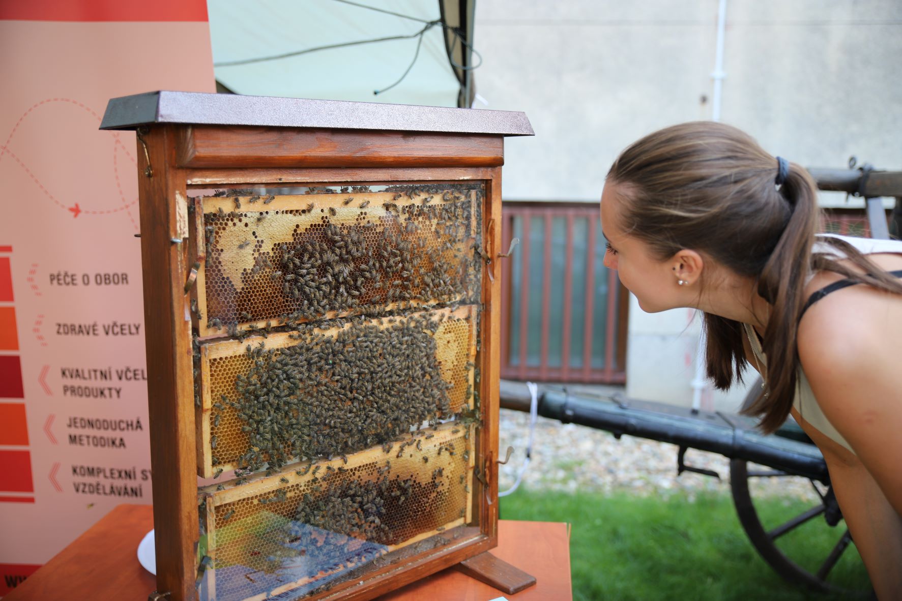 Nejsladší den v muzeu lze zažít na Jedu v medu